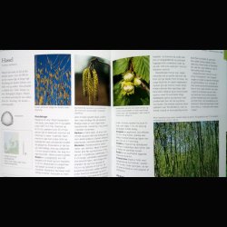 Danmarks trer og buske